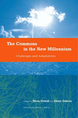 The Commons in the New Millennium