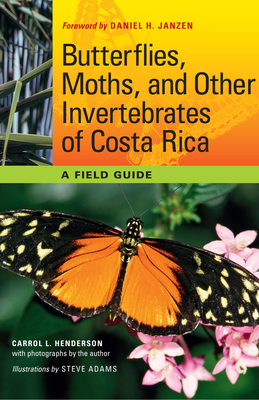 Butterflies, Moths, and Other Invertebrates of Costa Rica