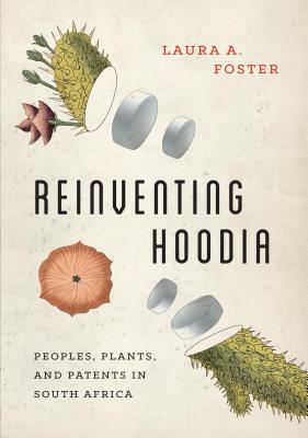 Reinventing Hoodia