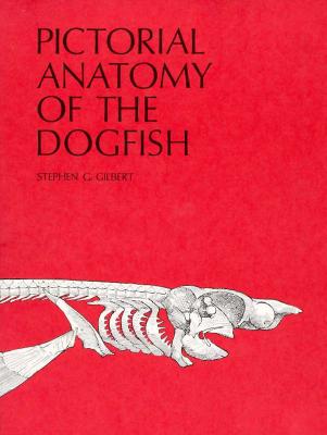 Pictorial Anatomy of the Dogfish