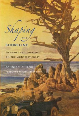 Shaping the Shoreline