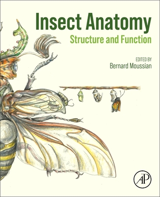 Insect Anatomy