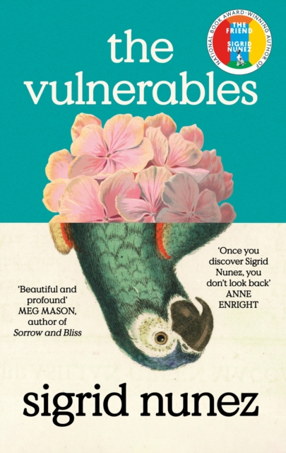 The Vulnerables