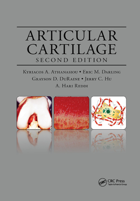 Articular Cartilage