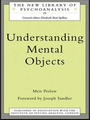 Understanding Mental Objects