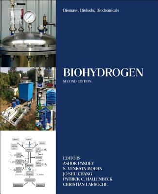 Biomass, Biofuels, Biochemicals