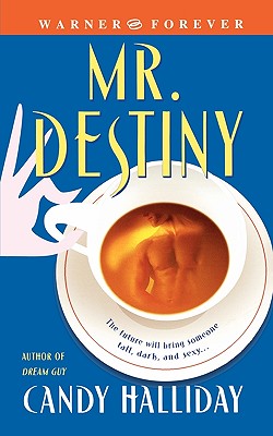 Mr Destiny