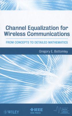 Channel Equalization for Wireless Communications