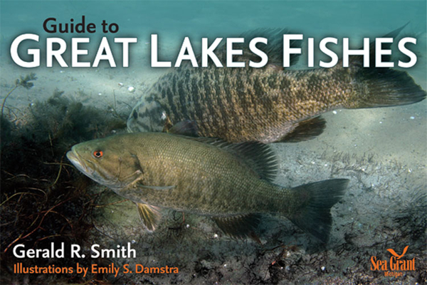 Guide to Great Lakes Fishes