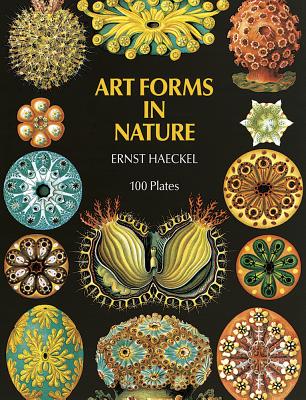 Art Forms in Nature