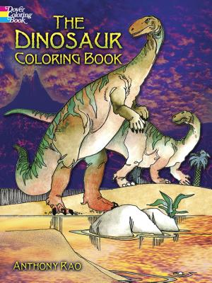 The Dinosaur Colouring Book