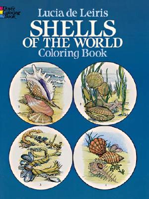 Shells of the World Colouring Book