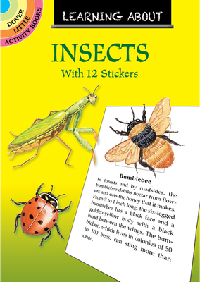 Learning About Insects