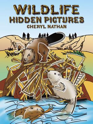 Wildlife Hidden Pictures