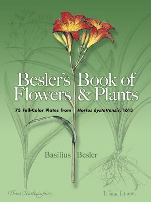 Besler'S Book of Flowers and Plants