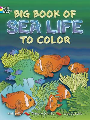 Big Book of Sea Life to Color