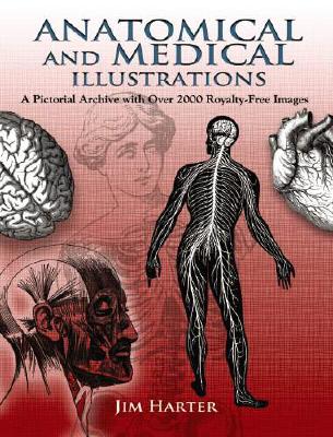 Anatomical and Medical Illustrations