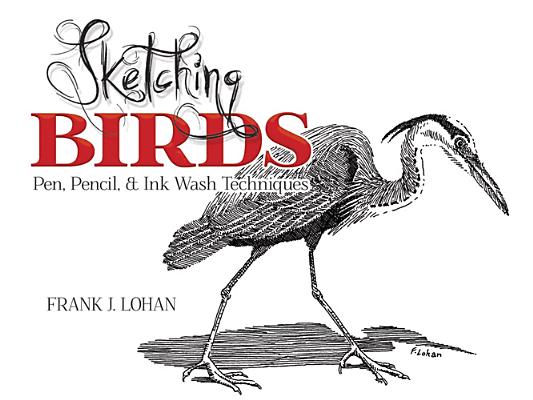 Sketching Birds