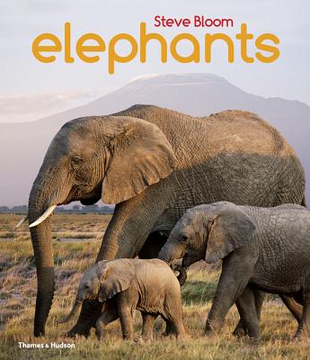 Elephants