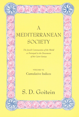 A Mediterranean Society, Volume VI