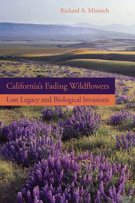California’s Fading Wildflowers