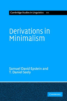 Derivations in Minimalism