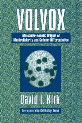 Volvox