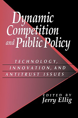 Dynamic Competition and Public Policy