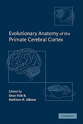 Evolutionary Anatomy of the Primate Cerebral Cortex