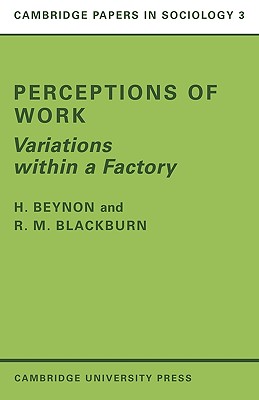 Perceptions of Work