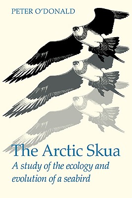 The Arctic Skua