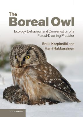 The Boreal Owl