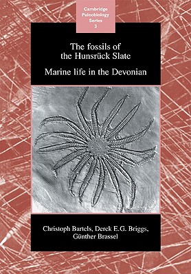 The Fossils of the Hunsruck Slate