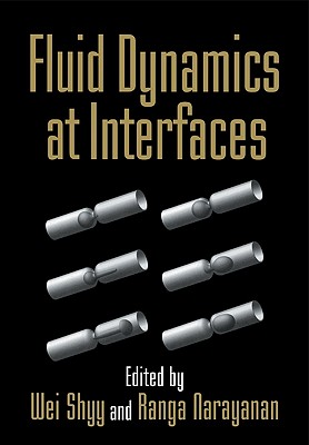 Fluid Dynamics at Interfaces