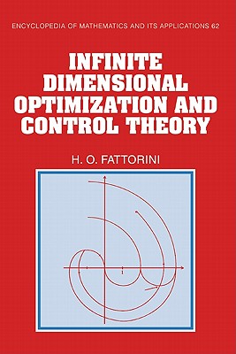 Infinite Dimensional Optimization and Control Theory