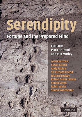 Serendipity