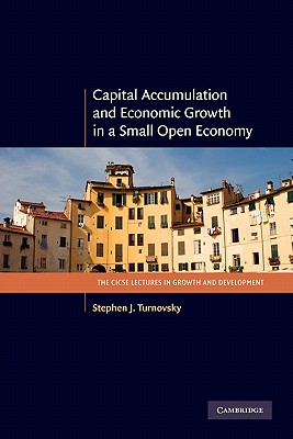 Capital Accumulation and Economic Growth in a Small Open Economy