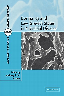 Dormancy and Low Growth States in Microbial Disease