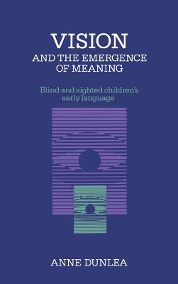 Vision and the Emergence of Meaning