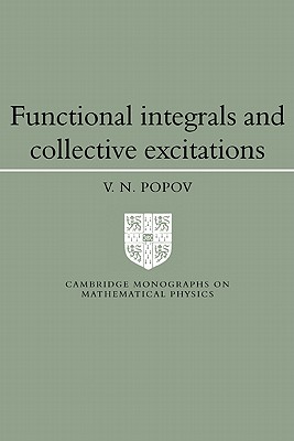 Functional Integrals and Collective Excitations