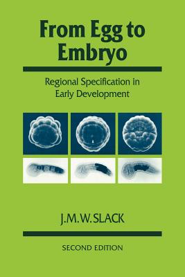 From Egg to Embryo