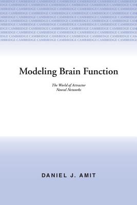 Modeling Brain Function