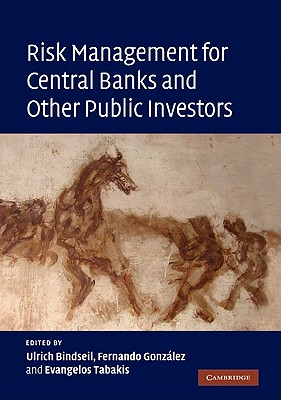 Risk Management for Central Banks and Other Public Investors