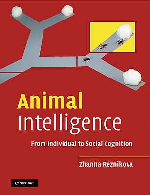 Animal Intelligence