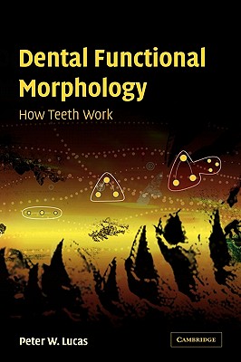 Dental Functional Morphology