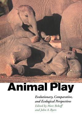 Animal Play