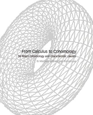 From Calculus to Cohomology