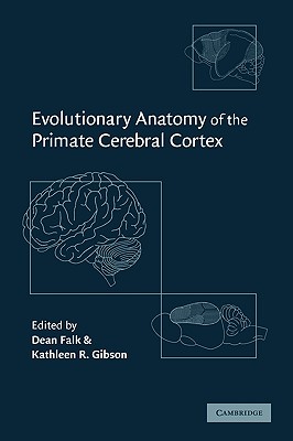 Evolutionary Anatomy of the Primate Cerebral Cortex