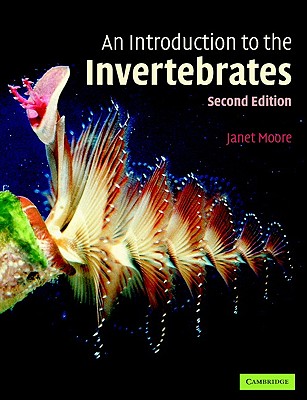 An Introduction to the Invertebrates