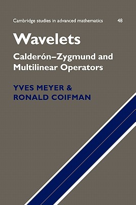 Wavelets